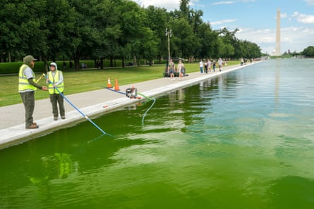 people situation a greenish assemblage of water