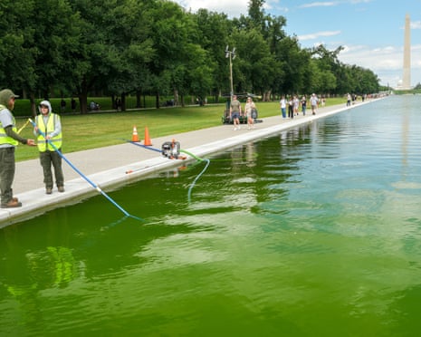 National Park Service workers clean algae from the Lincoln Memorial reflecting pool on 15 June 2026.