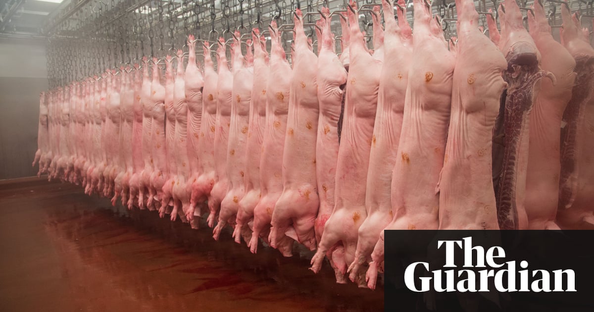 Αποτέλεσμα εικόνας για Guardian and Bureau of Investigative Journalism - TBIJ: meat