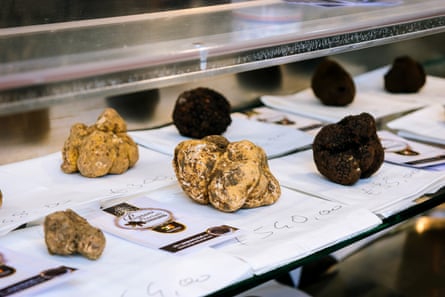 Truffles and price tags on sale in a glass case