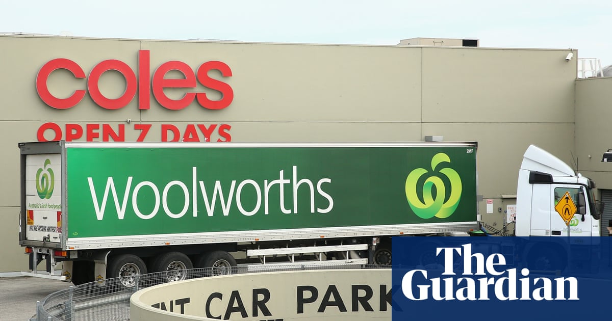 Coles and Woolworths say their profits are modest - but does that stack up?