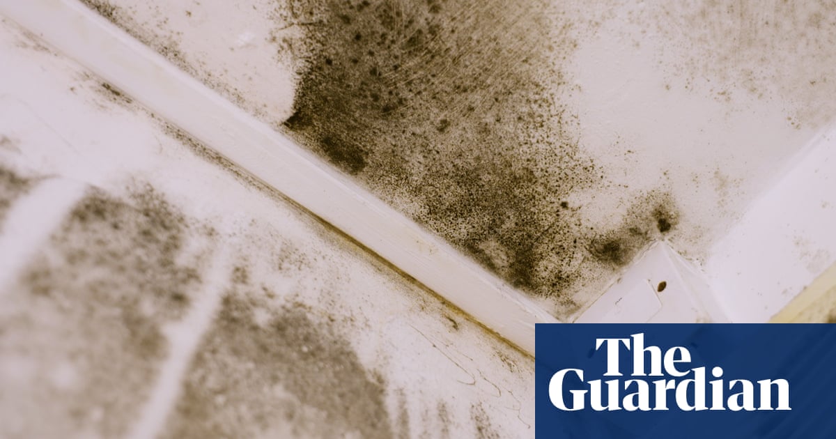 'Slums of the 21st century': one family's life in a mouldy, overcrowded flat