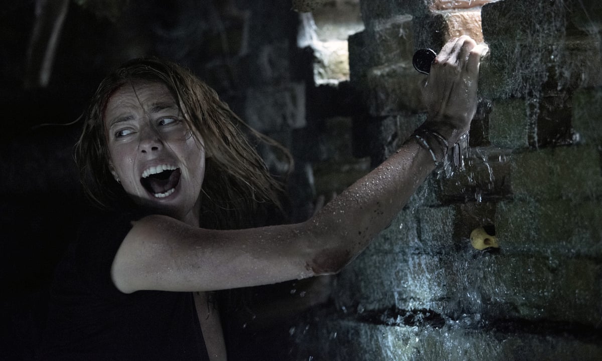 Crawl review – brutal alligator horror is a snappy summer surprise | Horror films | The Guardian