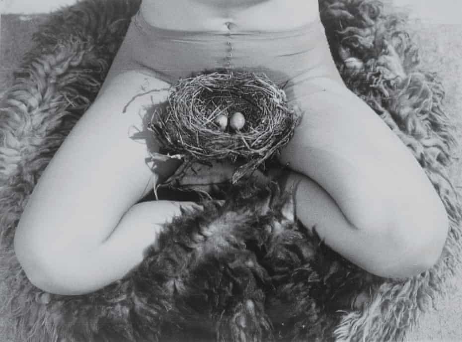 Nest, 1979 by Birgit Jürgenssen.