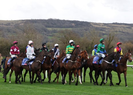 Horses ridden by jockeys during the Supreme Novice Hurdle at day one of Cheltenham Festival