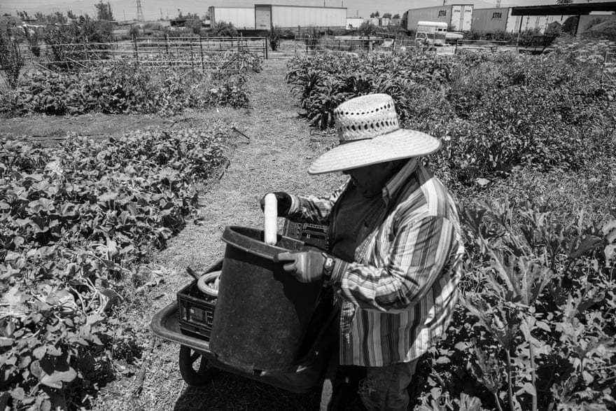 person works in field