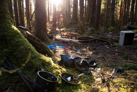 detritus scattered in the woods