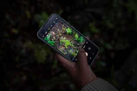 A hand holding a mobile phone with a picture of the forest floor on its screen.