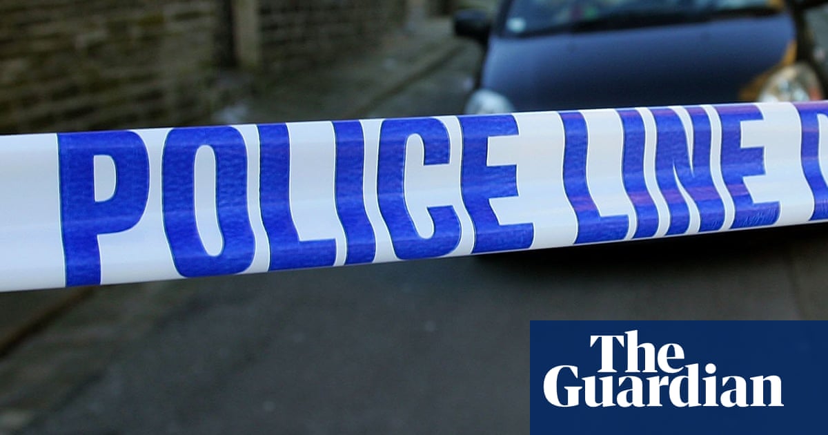 Eight held over deaths of two teenage boys in Essex