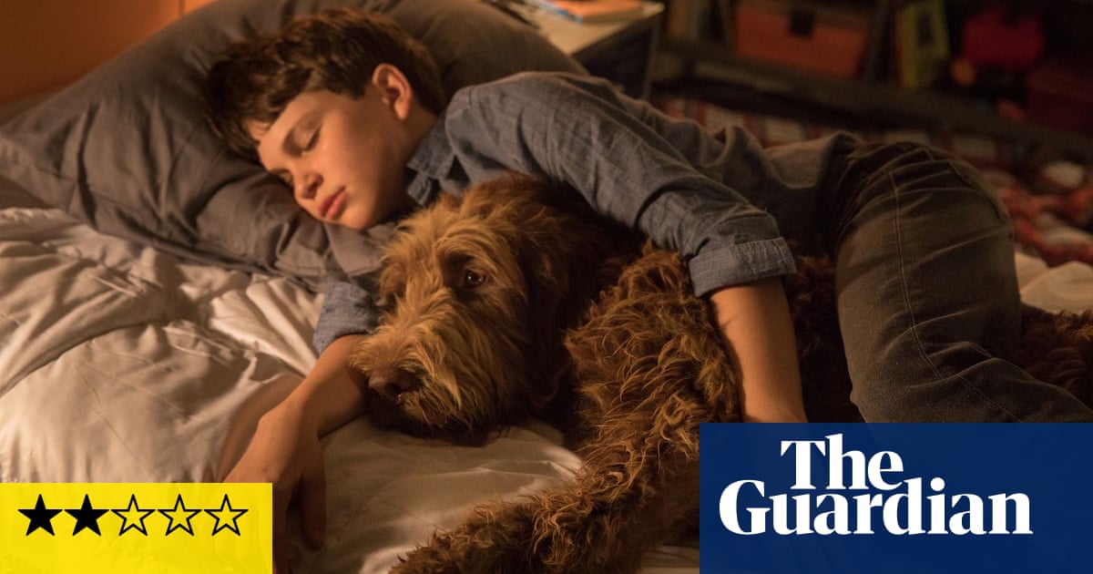 Think Like a Dog review – Feds bark as pet wisdom melts into syrup