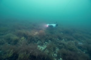 Uma área é pesquisada por drones subaquáticos filmando o habitat de fundo