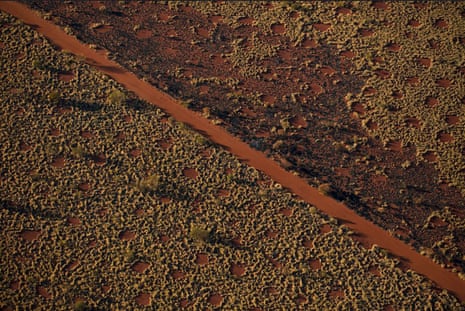 An aerial view of a desert spinifex landscapes with regular bare circle patches