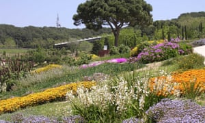 Barcelona aire libre del gabinete de curiosidades, el Jardí Botànic 1 Array of colourful plants on the gently sloping hills of Jardi Botanic, Barcelona.