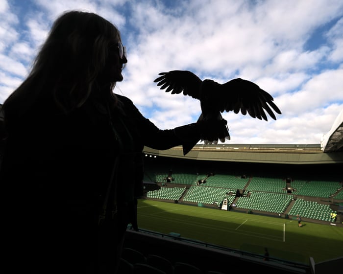 Wimbledon 2026: Sinner, Sabalenka, Djokovic and more in action on day one - live