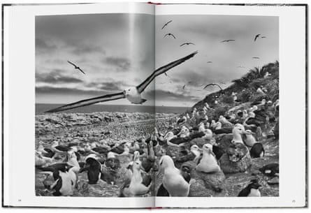 a spread from Genesis by Sebastião Salgado.