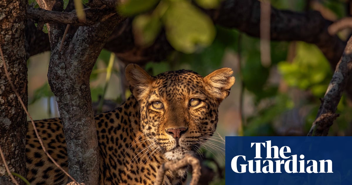 BBC’s Kingdom series gets viewers ‘into the action’ with TV drama techniques