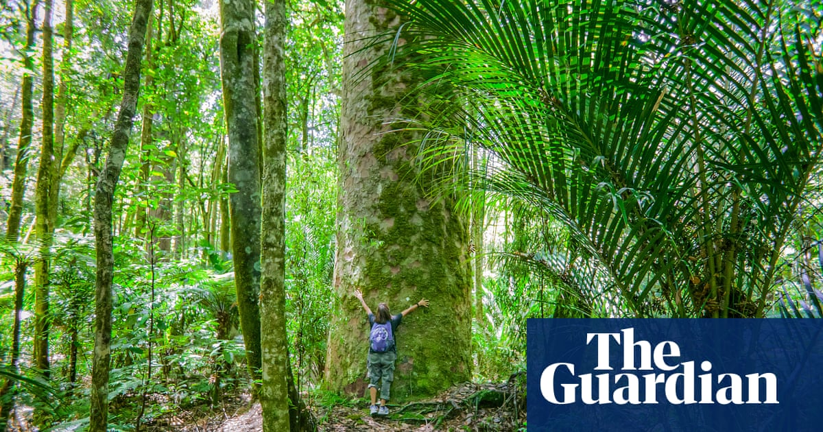 Top trees from the globe’s bottom half