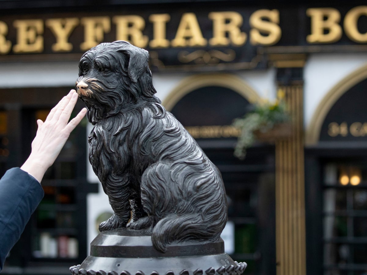 Faithful terrier Greyfriars Bobby may have been a different breed, book  claims | Edinburgh | The Guardian