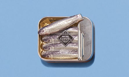 Chocolate sardines
