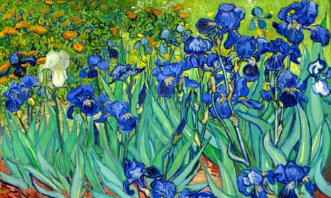 Irises by Vincent van Gogh. The new study suggests that the advantageous genes which confer creativity or intelligence may express themselves as illness when other risk factors are present.
