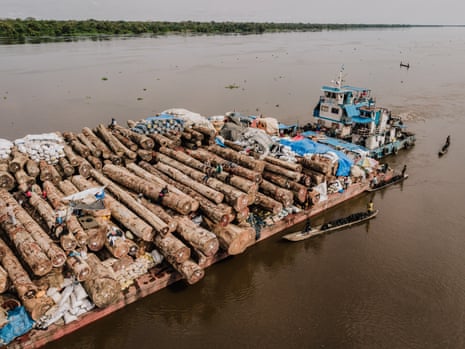 Cidades flutuantes de troncos: poderão os “pulmões de África” sobreviver à sua exploração?