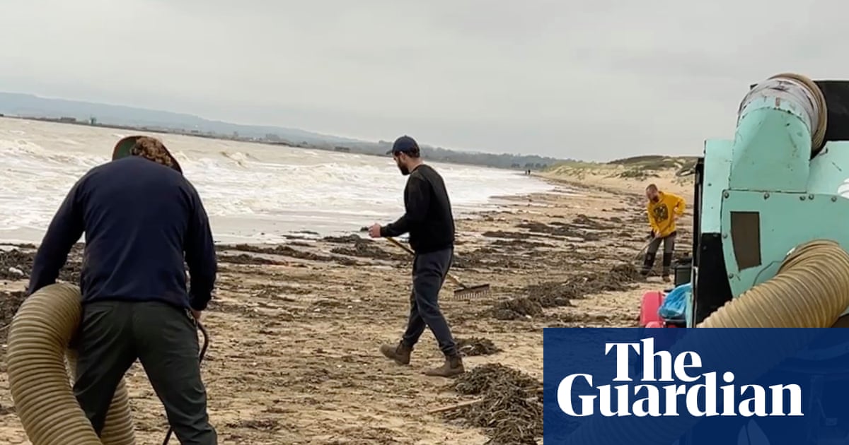 ‘Environmental catastrophe’ fears as millions of plastic beads wash up on Camber Sands