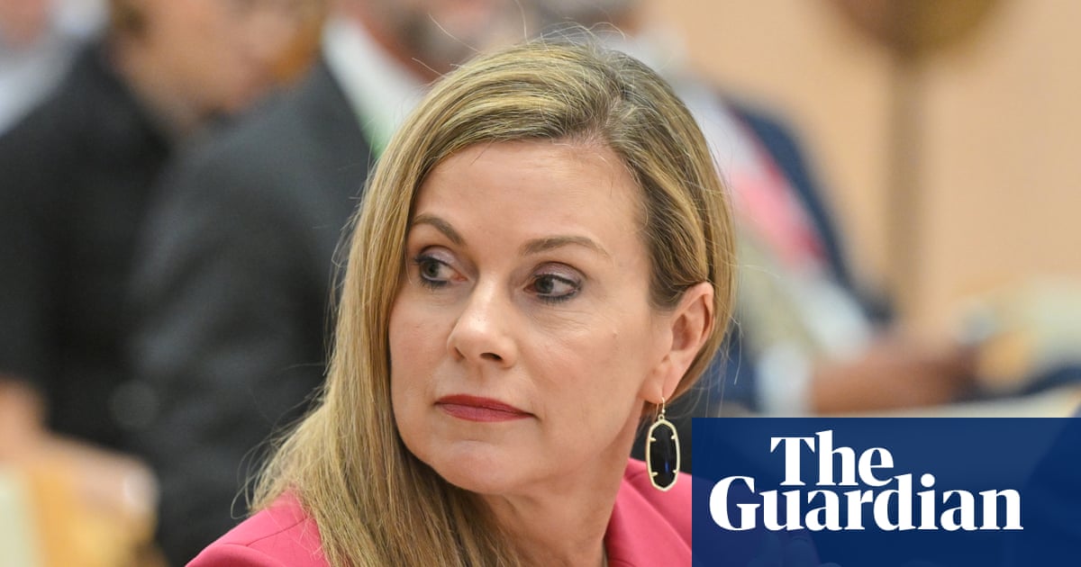Social media platforms ‘monetise gore and fringe content’, eSafety regulator tells antisemitism commission