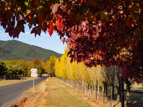 A speed limit sign on a regional roadway