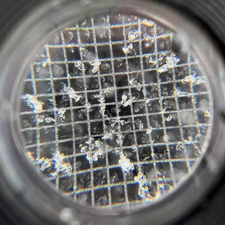 Snow crystals under a magnifier
