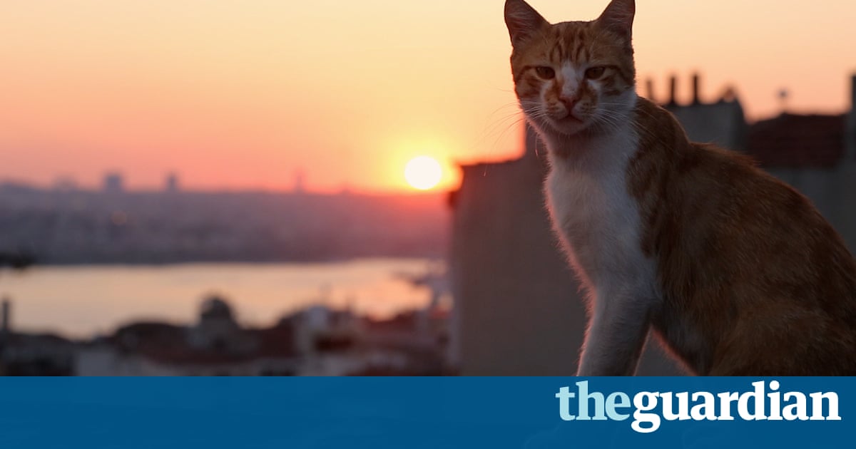 Watch A Cat In Paris Online Full Movie Watch A Cat In Paris Online Full Movie