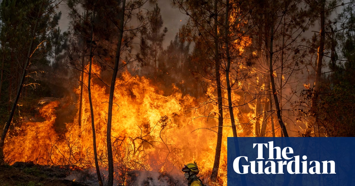 ‘It is not only a future certainty – the disaster is already here’: why we need climate fiction
