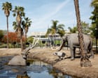 Pompeii, but in the middle of a massive city: the ice age fossil site hidden in Los Angeles La Brea Tar Pits – the only urban, active ice age excavation site in world – gets a mammoth face lift for the first time in nearly 50 yearsLos Angeles is known for famous museum such as the Getty and the Lacma, but perhaps fewer people are aware that – in the heart of the city – lies a museum that contains one of the worlds most remarkable fossil sites.The La Brea Tar Pits and Museum is home to the remains of more than 2 million ice age flora and fauna, including mastodons and saber-toothed cats, that became trapped in oily pools that still bubble up today. Continue reading...