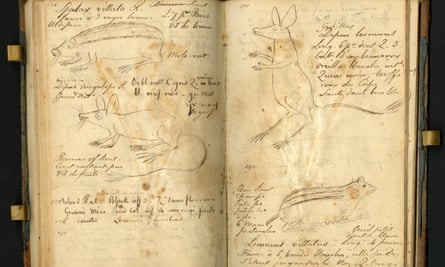 A page from Constantine Rafinesque’s field notebook.