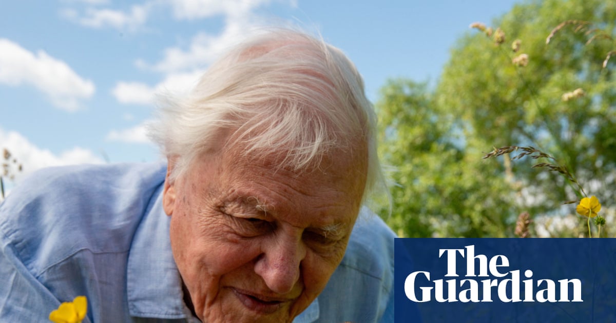 David Attenborough's Call to Action: Cherishing Our Natural World