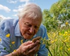David Attenborough svela la fauna nascosta di Londra: un invito alla conservazione urbana