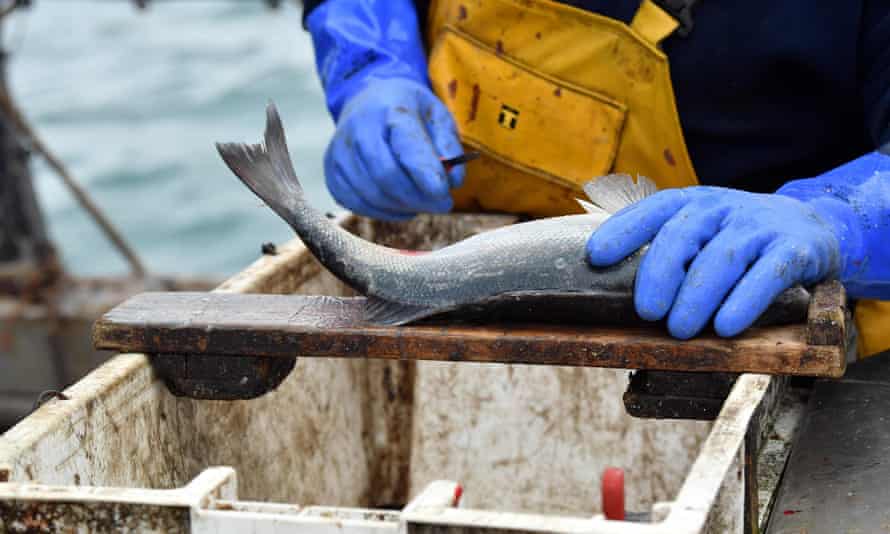Michael Gove said the agreement the UK had struck with the EU was the best possible for the fishing industry as a whole.