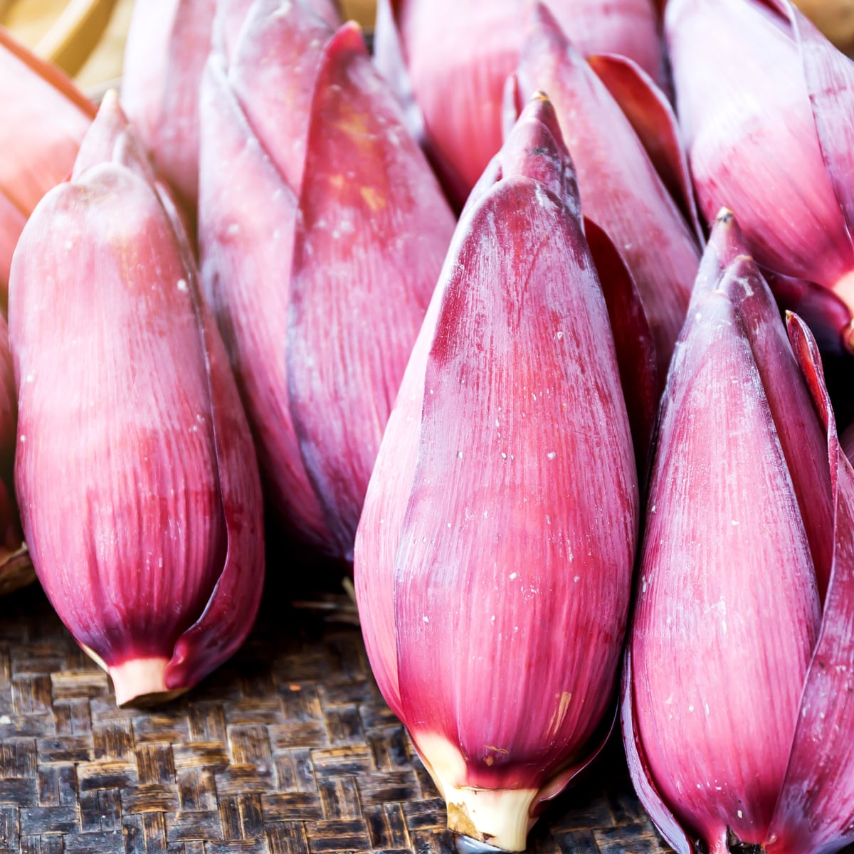 Get Banana Blossom The Next Vegan Food Star With The Texture Of Fish Vegan Food And Drink The Guardian Desktop Wallpaper Free Get Wallpaper Banana Blossom The Next Vegan Food Star With The Texture Of Fish Vegan Food And Drink The Guardian For iPhone Free