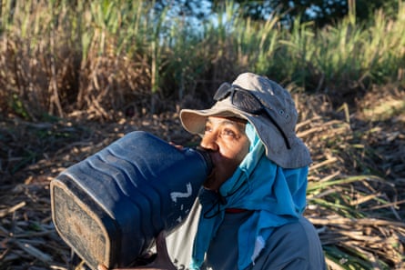 Rest break for sugarcane cutters in Nicaragua