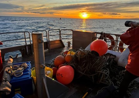 Specialised whale disentanglement crews in the rescue operation.