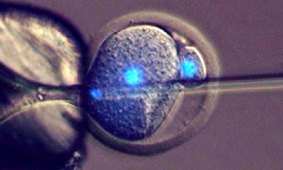 The procedure, which could allow fertility clinics to make sperm and eggs from people’s skin, has only been demonstrated in mice so far, but the field is progressing quickly.