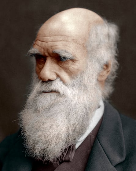 Charles Darwin: Victorian Mythmaker by AN Wilson – review ...