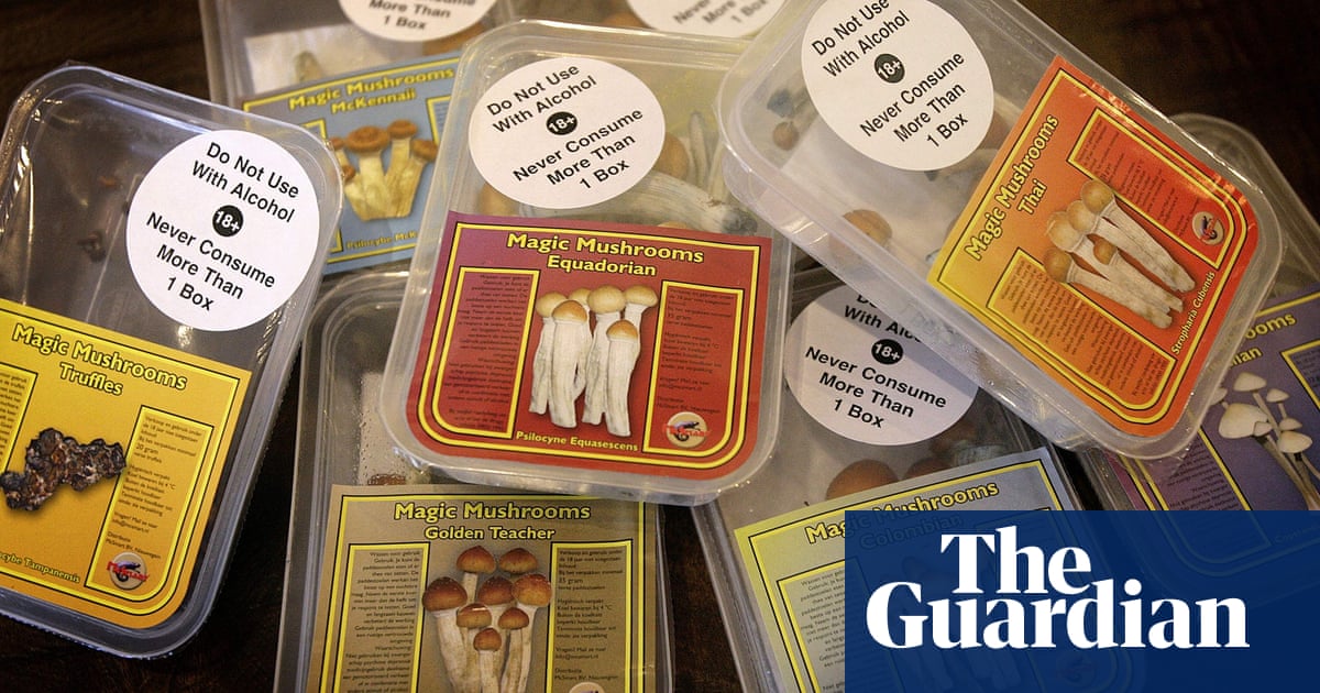 People 'microdosing' on psychedelics to improve wellbeing during pandemic  | Drugs | The Guardian