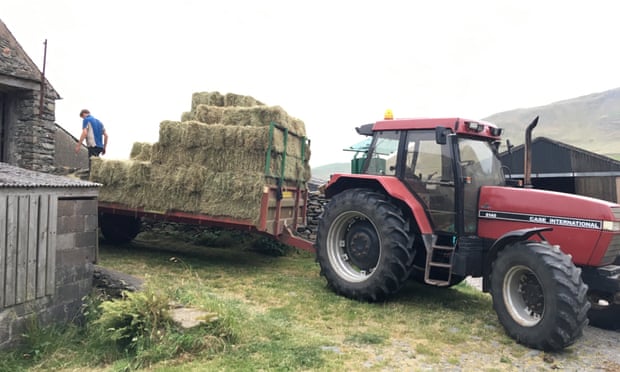 A tractor loading new hay bales into the barn on the farm.