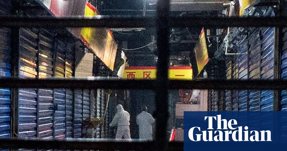 How did coronavirus start and where did it come from? Was it really Wuhan's animal market?