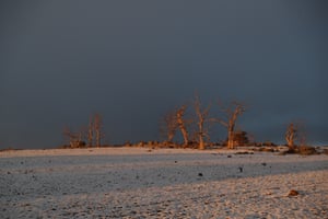 Snow blankets the ground outside Cooma