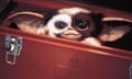 A cute, little, furry, brown-and-white magical creature, with wide black eyes and big pink ears, peeks out of a red toolbox.