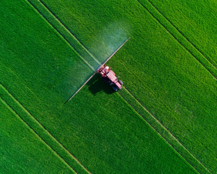 EU-approved pesticide found to have potential effects on brain development