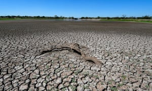 A new lawsuit against Nestlé claims the company is illegally pumping millions of gallons of water from California’s San Bernardino National Forest.