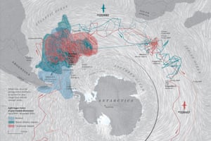 A map of albatross movement from Where the Animals Go.