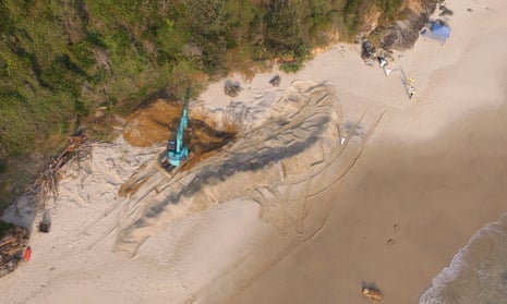 Whale exhumation at Nobbys beach, NSW